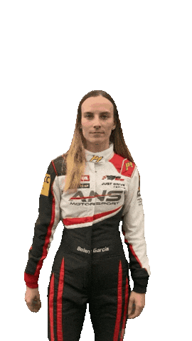 Race Driver Sticker by ANS Motorsport