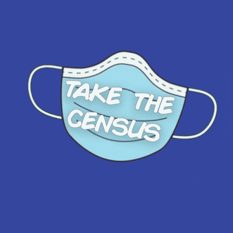 Mask Census GIF by Mecklenburg County