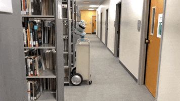Hide And Seek What GIF by College of Lake County