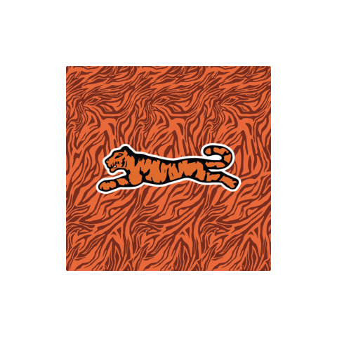 Fashion Street Sticker by Le TIGRE