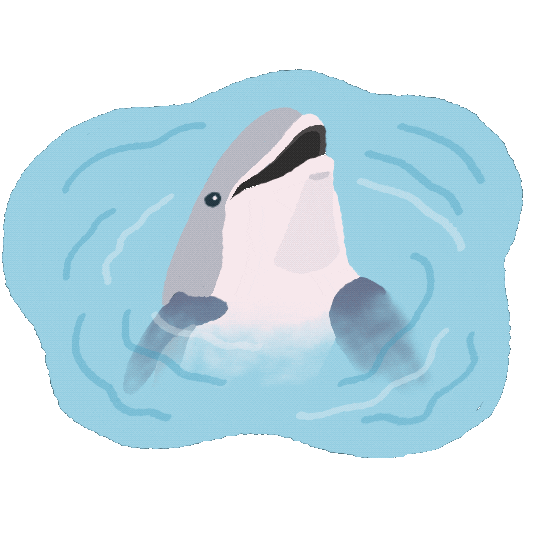 HARE KARE LLC Sticker