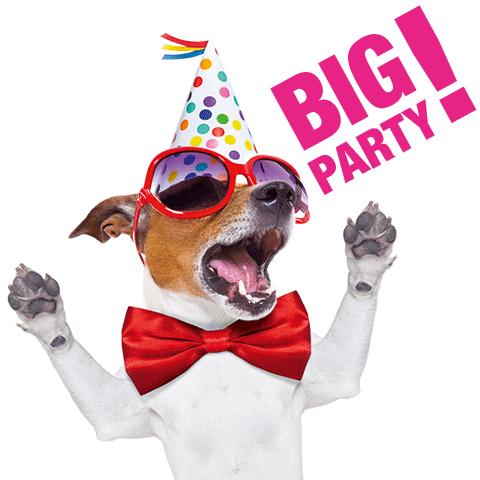 Party Dog Sticker by Big bazar