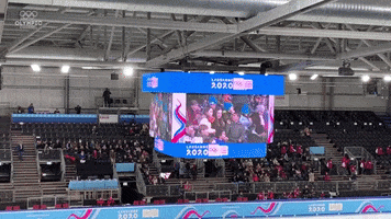 GIF by Olympics