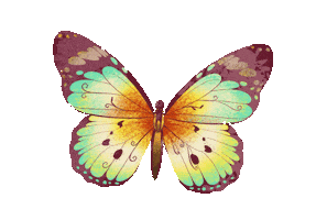 Butterfly 蝶 Sticker