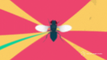 Animation Fly GIF by The Explainer Studio