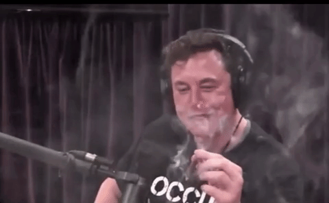 Elon Musk Weed GIF - Find & Share on GIPHY