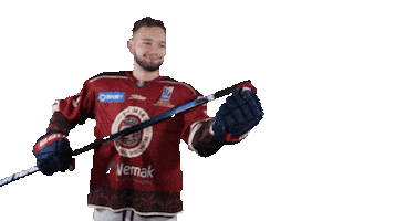 TIPOS Slovenská hokejová liga Sticker