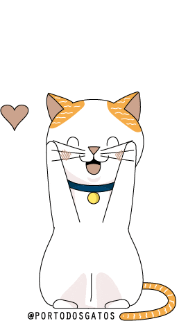 Porto dos Gatos Sticker