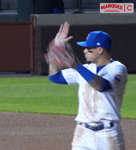 Chicago-cubs GIFs - Get the best GIF on GIPHY