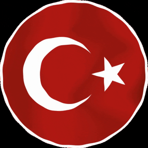 Turkish Flag GIF
