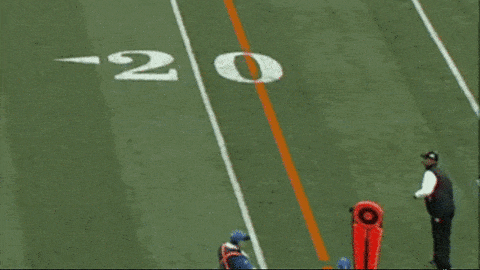 cincinnati bengals