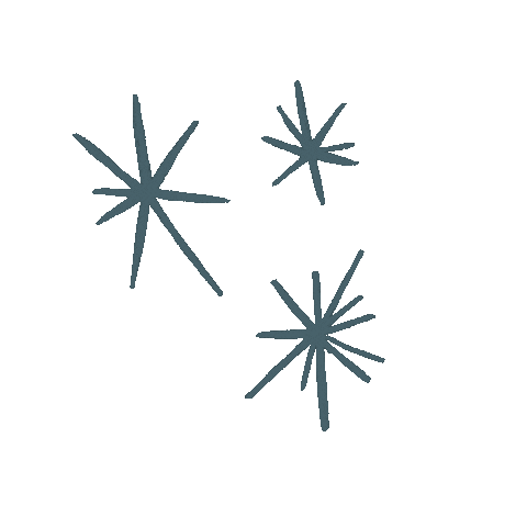 Star Sticker