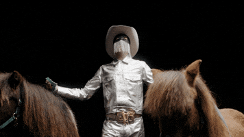 subpoprecords pride country music cowboy country GIF