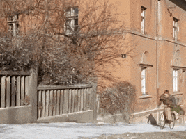 Pelisky GIF