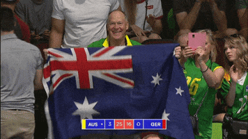 Happy Green And Gold GIF by Volleyball World