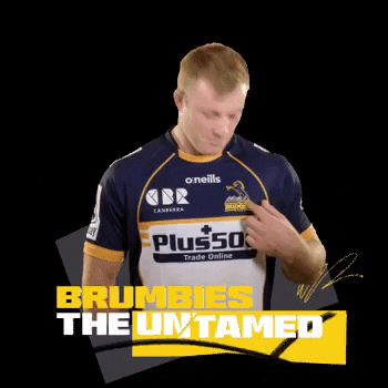 Super Rugby GIF by BrumbiesRugby