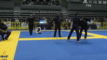 Bjj GIF