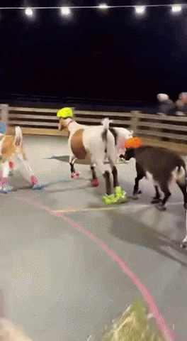 Fall Rollerblading GIF