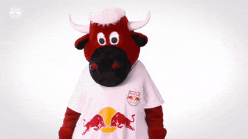 Red Bull What GIF by FC Red Bull Salzburg