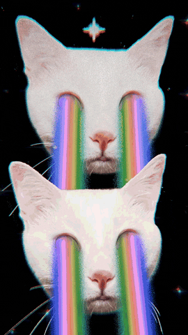 the_real_theory cat cats eyes laser GIF