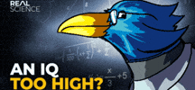 Bird GIF