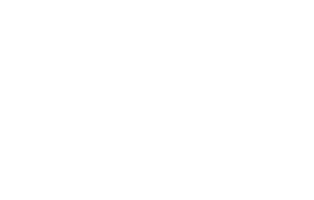 Swan Taj Sticker