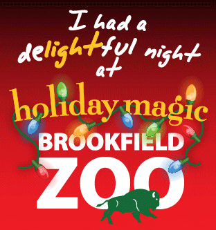 Winter Lights GIF by Brookfield Zoo