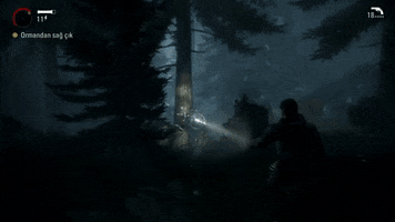 Alan Wake GIF