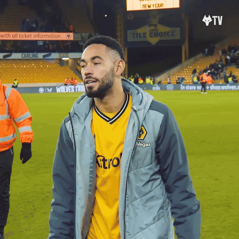 Check This Out Premier League GIF by Wolves
