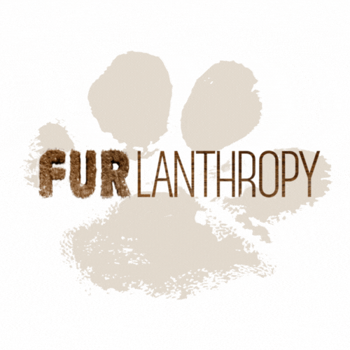 Furlanthropy GIF