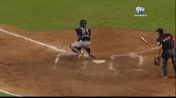 barriglez  GIF
