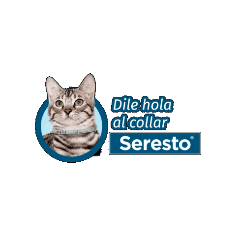 ElancoMéxico Sticker