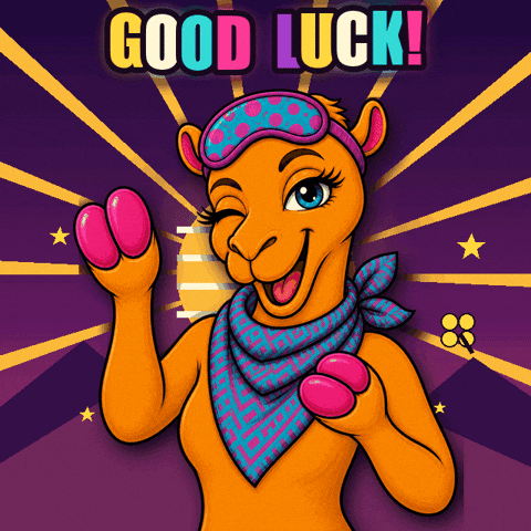 Best Of Luck Win GIF by CamelToe