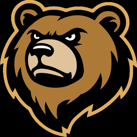 Bear Oso GIF