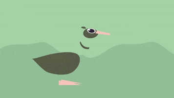 Animation GIF
