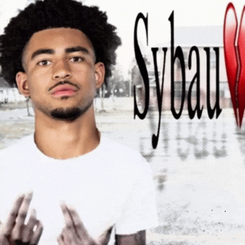 Carolina Panthers GIF