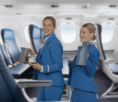 Cabin Crew Dance GIF by KLM - Find & Share on GIPHY