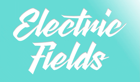 Electric-fields-festival GIFs - Get the best GIF on GIPHY
