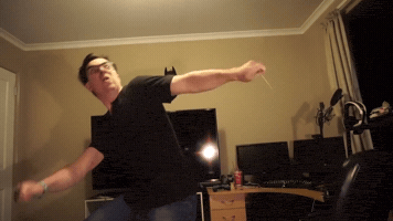 Harry Potter Wands GIF
