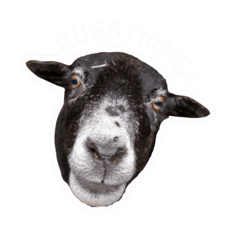 Question Sheep Sticker by FOUR PAWS