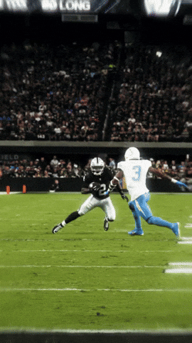 Nfl Raiders GIF