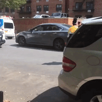 NYPD Officers Chase Escaped Guinea Fowl on Brooklyn Street