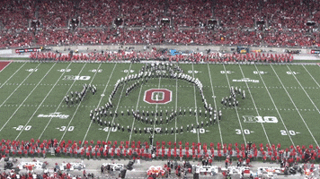 Victory Ringing GIF by tbdbitl