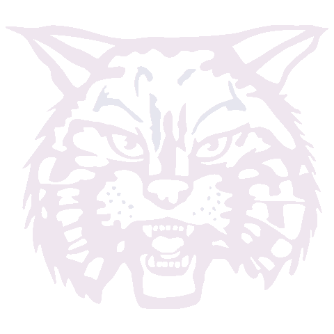 Bobcats Sticker by Byram Hills