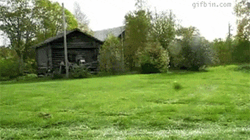 https://media1.giphy.com/media/cxnRI1fmni0rm/200.gif