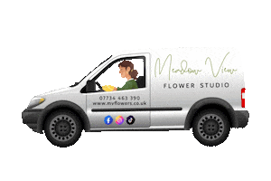 mvflowers Sticker