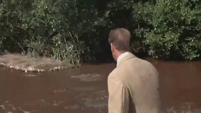 James Bond Crocodile