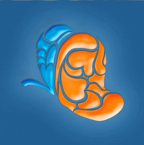 Colégio Criando Asas GIF