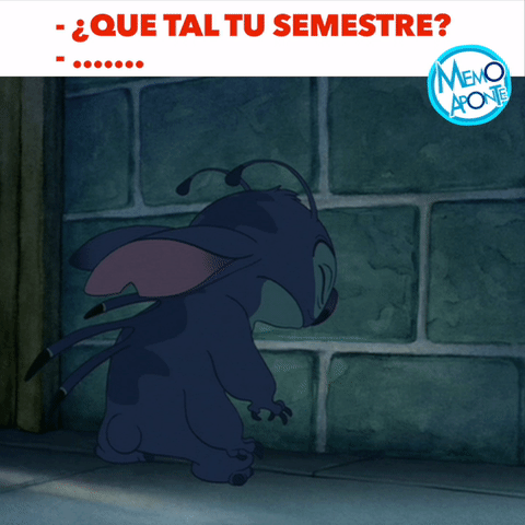 memoaponte  GIF