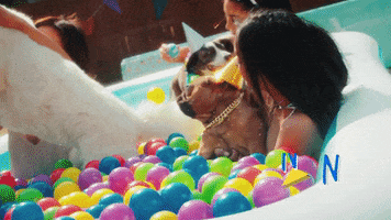 Doggie GIF by T-Pain